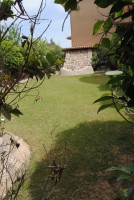 /album/photogallery/dsc-0213-jpg/