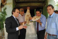 /album/photogallery/dsc-0202-jpg/