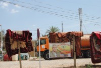 /album/photogallery/dsc-0182-jpg/