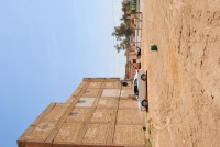 /album/photogallery/dsc-0101-jpg/