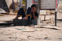 /album/photogallery/dsc-0065-jpg/